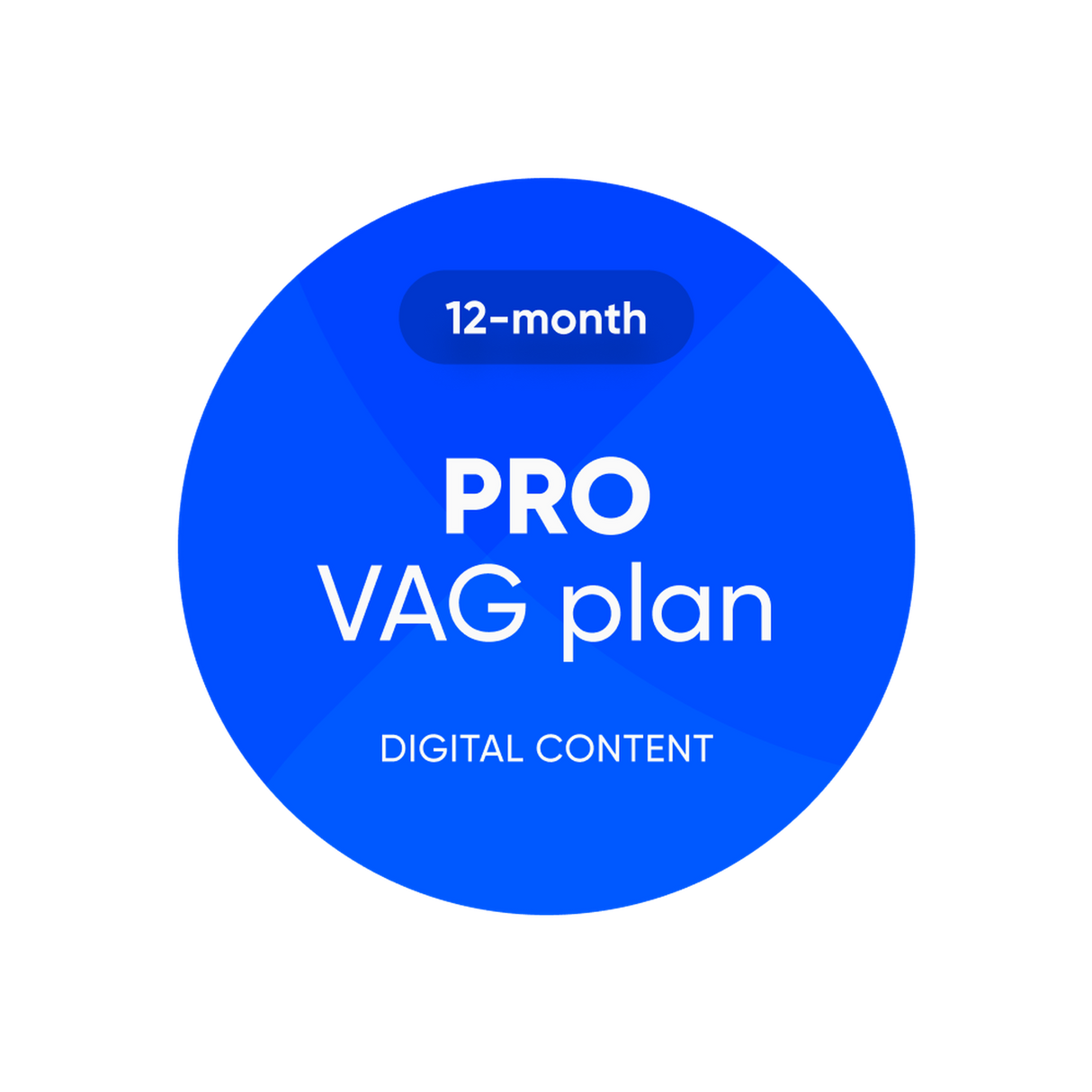 OBDeleven | Plan Pro VAG | Licence logicielle