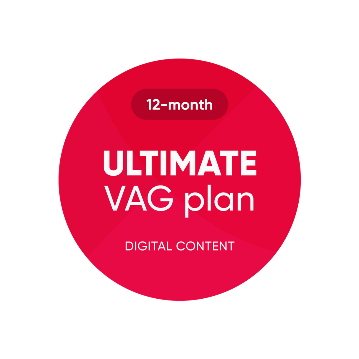 OBDeleven | Plan VAG Ultime | Licence logicielle