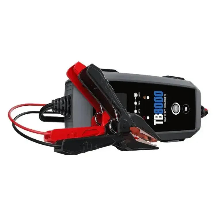 Topdon TB8000 | Chargeur d’entretien