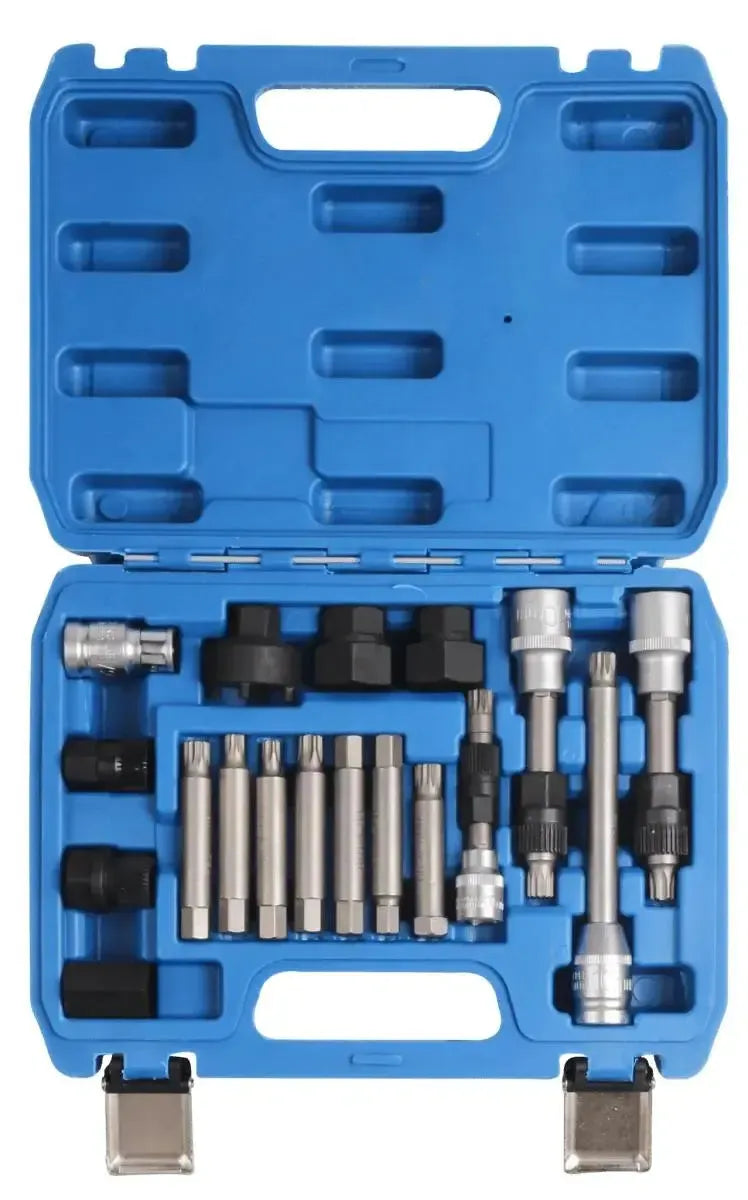 VT01318 | Ensemble de poulies à roue libre pour dynamo (18 pièces)