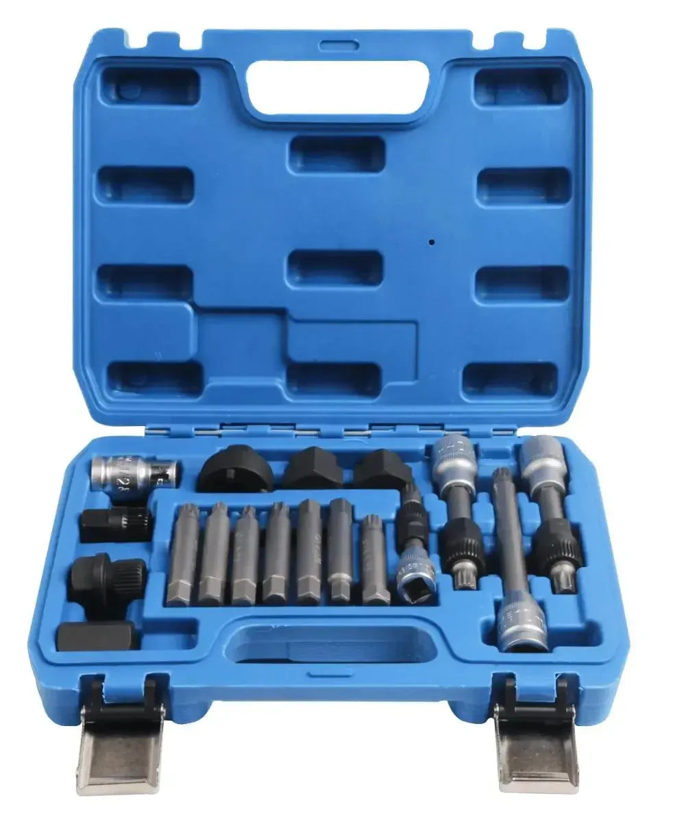 VT01318 | Ensemble de poulies à roue libre pour dynamo (18 pièces)