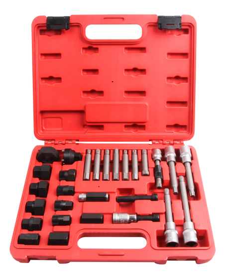 VIKTEC VT01753 Dynamo/Vrijlooppoelie Set 30-Delig